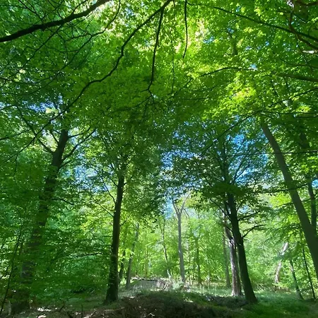 Hébergement de vacances Luxushaus Boddenkueste Mit Sauna Fuhlendorf (Mecklenburg-Vorpommern)
